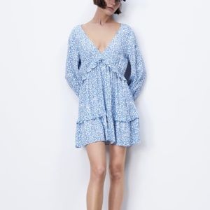 Zara Animal Print Dress 0/2599/051/044/02